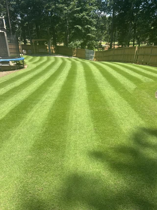 Lawn service professional mowing a lawn